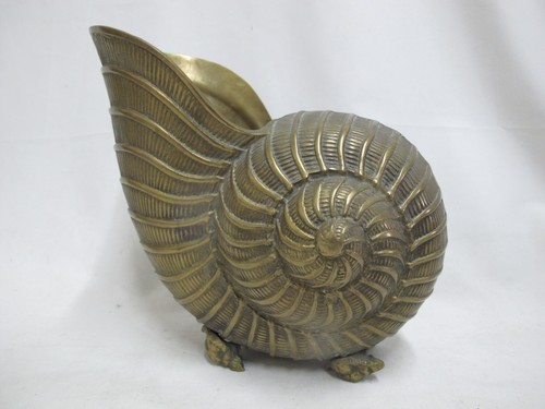 Large nautilus shell - large,