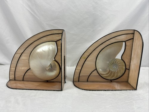Pair stained glass nautilus - stained,
