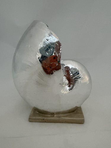 Silver nautilus shell base - nautilus,