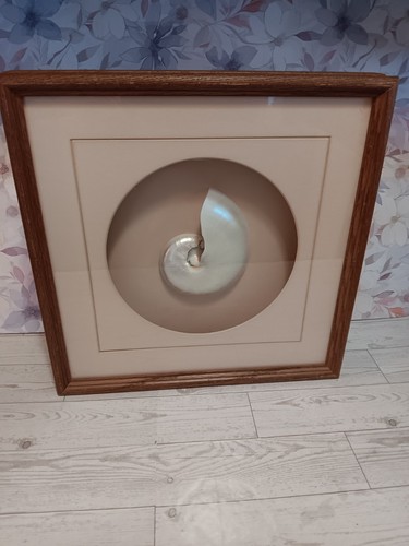 Vintage wooden framed mounted - wooden,